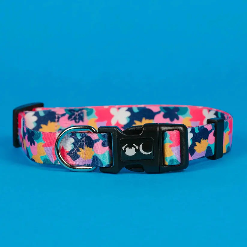 The Luna Dog Collar - by Neon Moon Pet Boutique - Memoriex