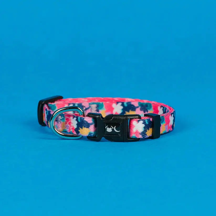 The Luna Dog Collar - by Neon Moon Pet Boutique - Memoriex