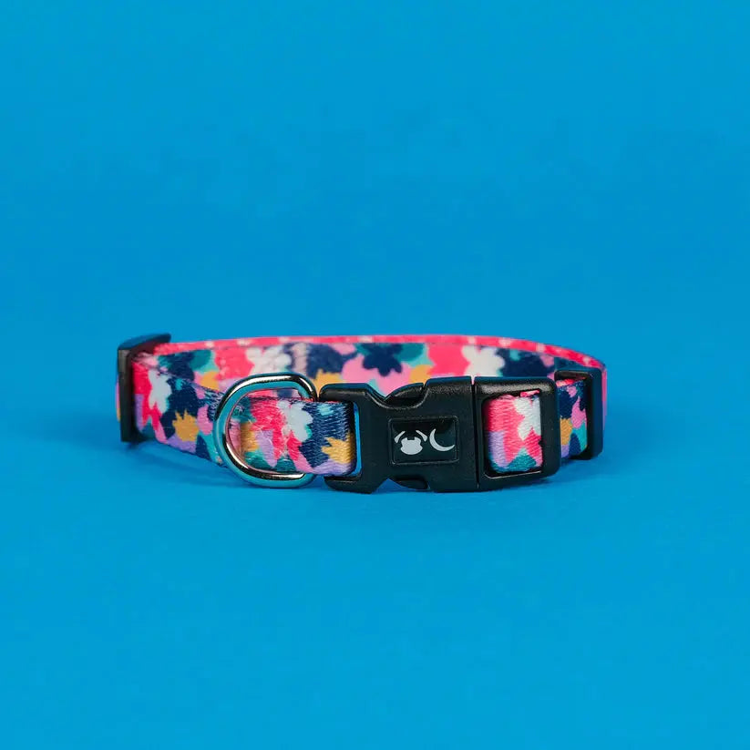 The Luna Dog Collar - by Neon Moon Pet Boutique - Memoriex