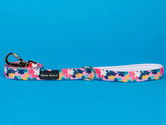 The Luna Dog Lead - by Neon Moon Pet Boutique - Memoriex