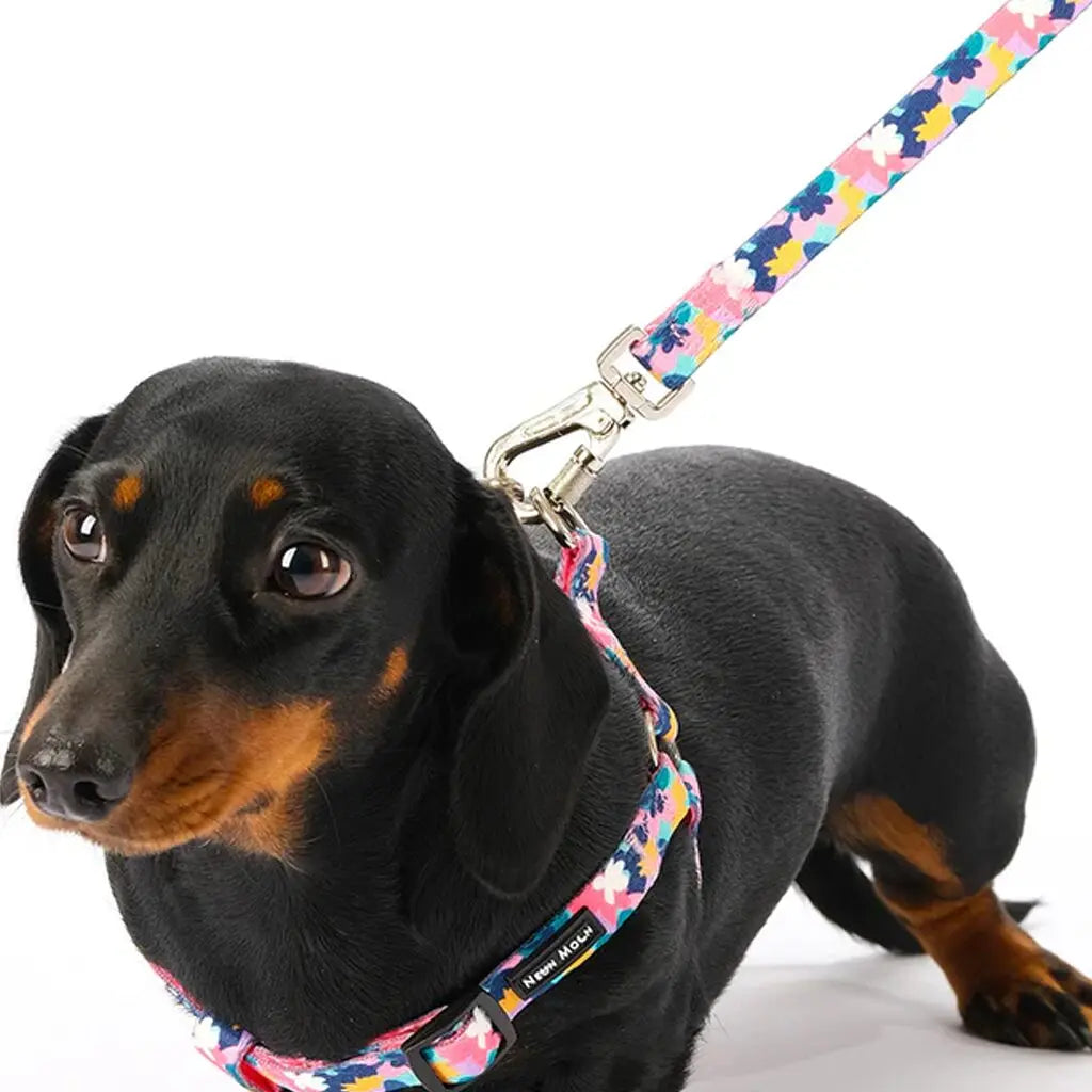 The Luna Dog Lead - by Neon Moon Pet Boutique - Memoriex