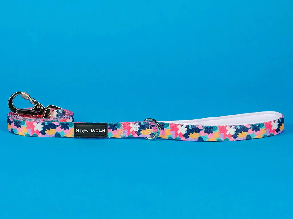 The Luna Dog Lead - by Neon Moon Pet Boutique - Memoriex