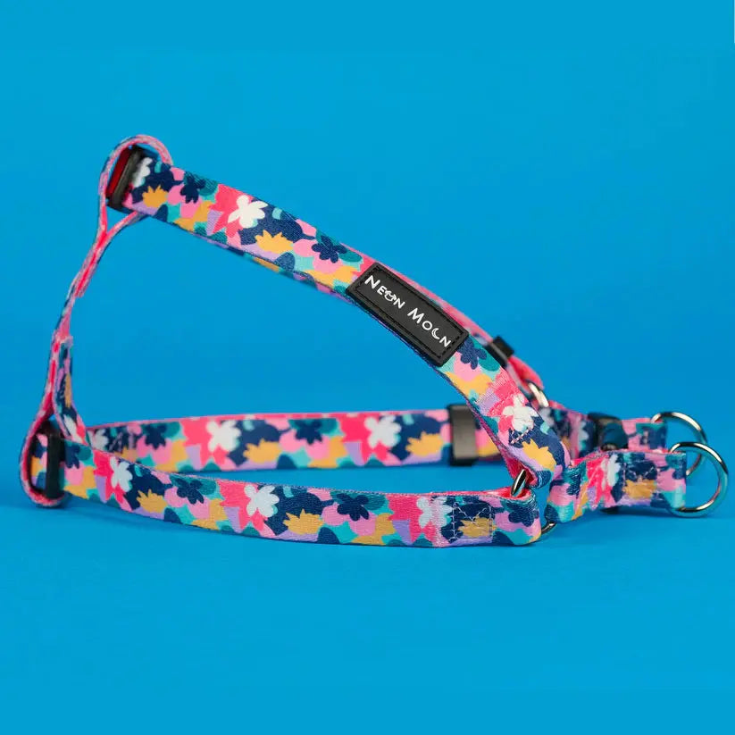 The Luna Step-In Dog Harness - by Neon Moon Pet Boutique - Memoriex