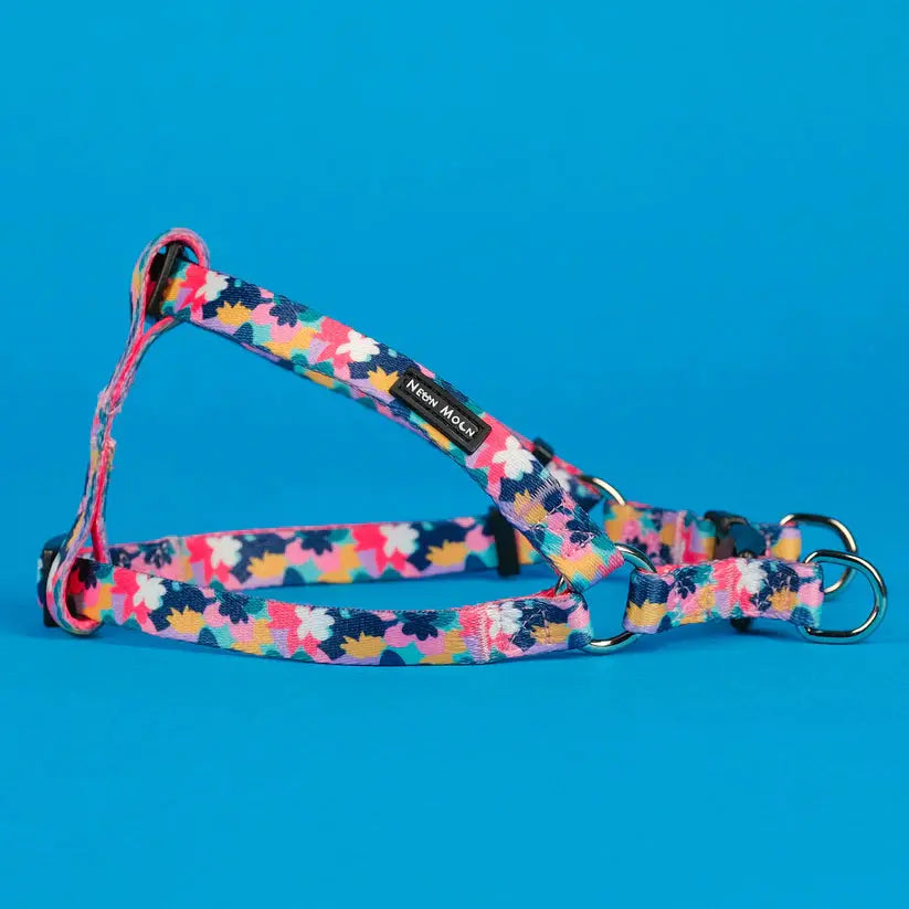 The Luna Step-In Dog Harness - by Neon Moon Pet Boutique - Memoriex