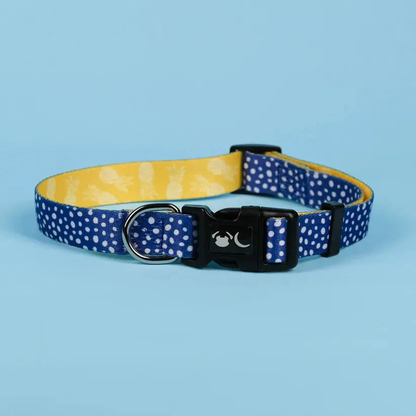 The Minnie Dog Collar - by Neon Moon Pet Boutique - Memoriex