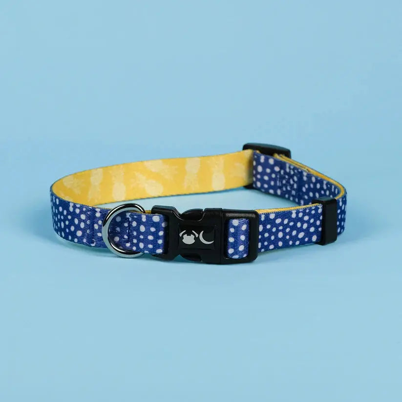 The Minnie Dog Collar - by Neon Moon Pet Boutique - Memoriex