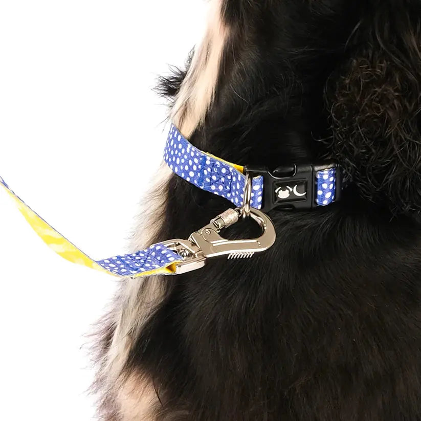 The Minnie Dog Lead - by Neon Moon Pet Boutique - Memoriex