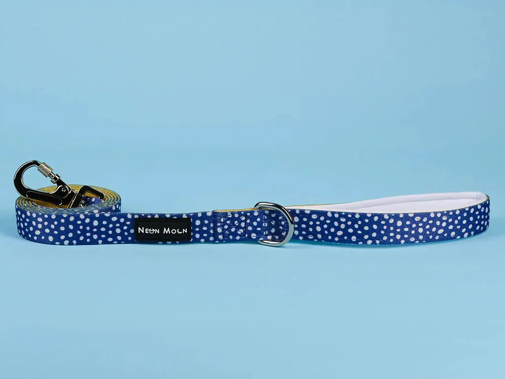 The Minnie Dog Lead - by Neon Moon Pet Boutique - Memoriex