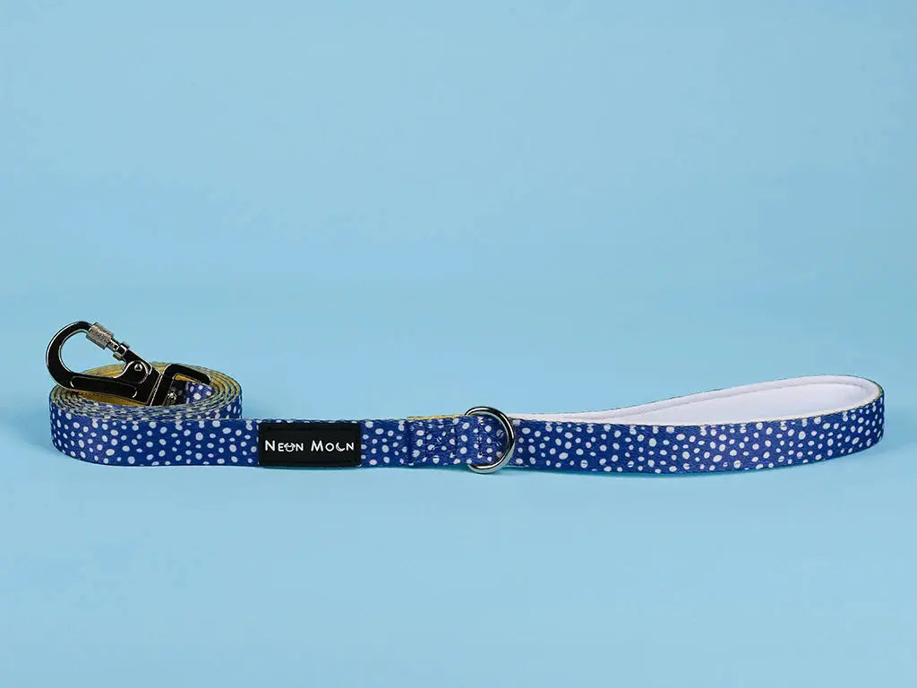 The Minnie Dog Lead - by Neon Moon Pet Boutique - Memoriex