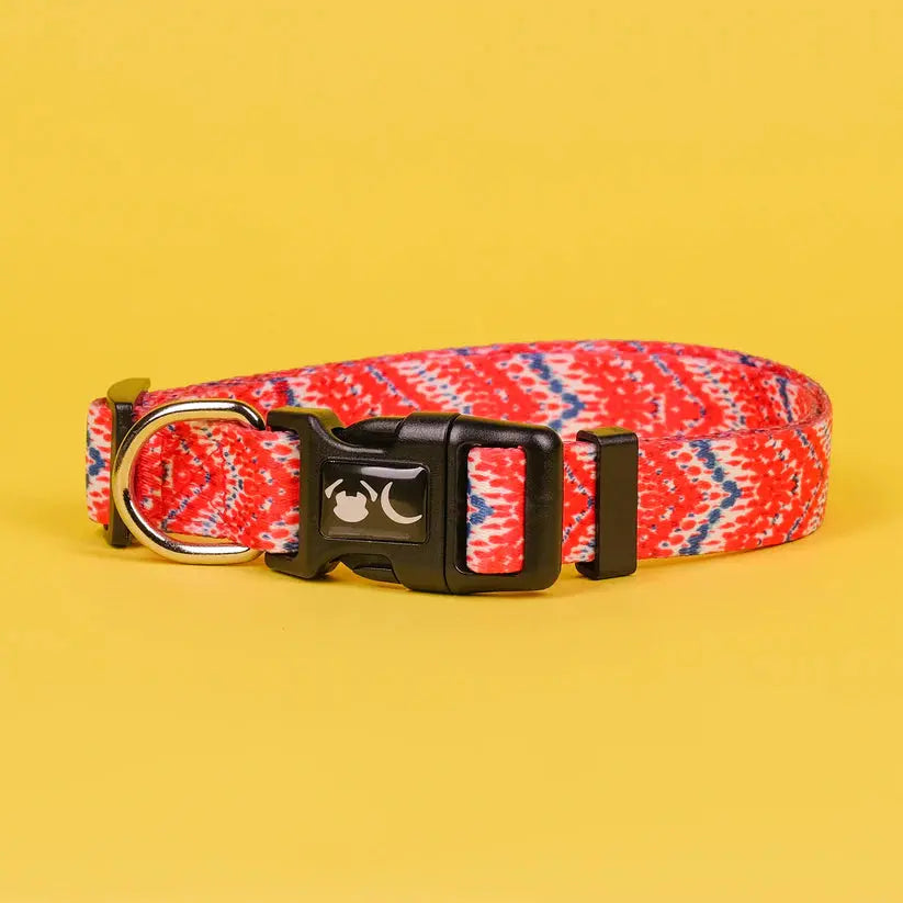 The Tod Dog Collar - by Neon Moon Pet Boutique - Memoriex