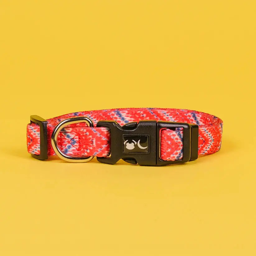 The Tod Dog Collar - by Neon Moon Pet Boutique - Memoriex