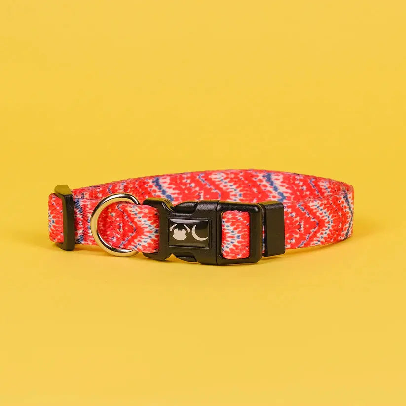 The Tod Dog Collar - by Neon Moon Pet Boutique - Memoriex