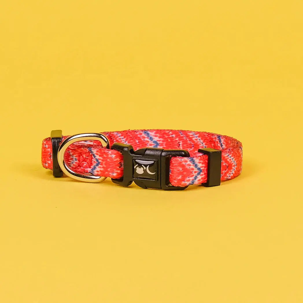 The Tod Dog Collar - by Neon Moon Pet Boutique - Memoriex