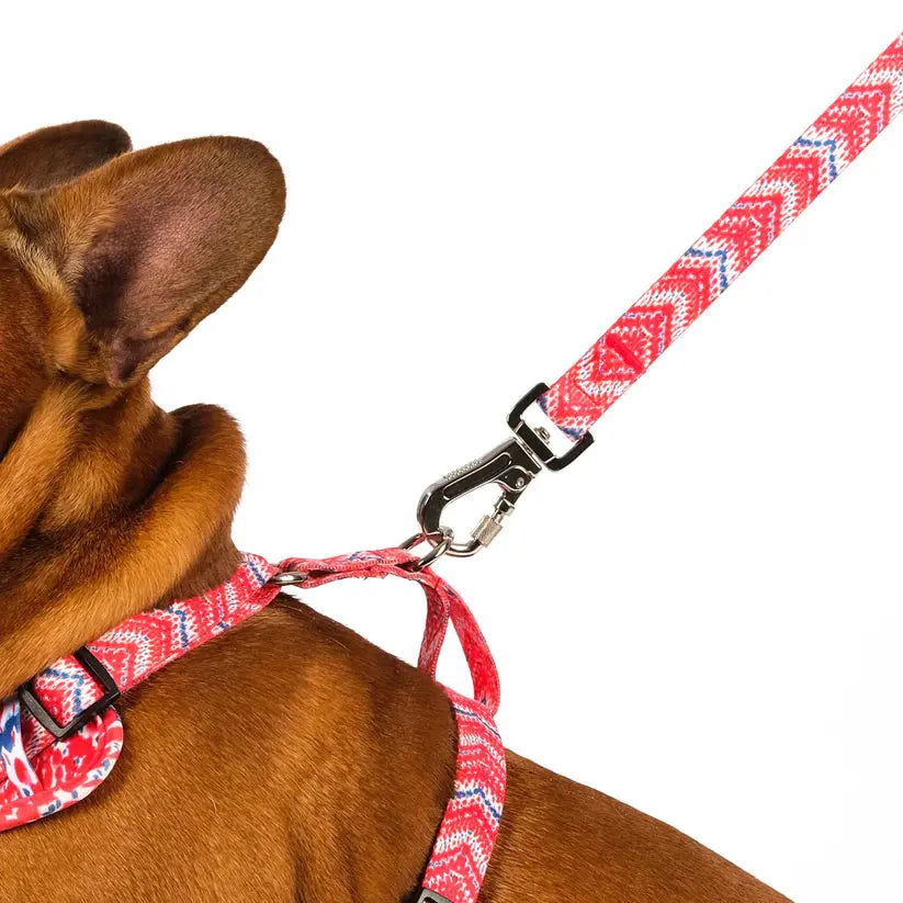 The Tod Dog Lead - by Neon Moon Pet Boutique - Memoriex