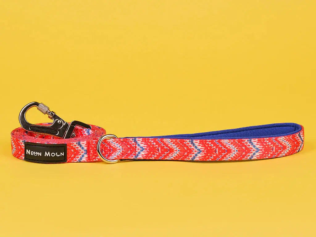 The Tod Dog Lead - by Neon Moon Pet Boutique - Memoriex