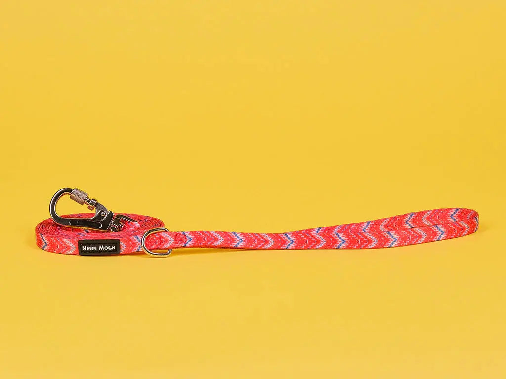 The Tod Dog Lead - by Neon Moon Pet Boutique - Memoriex