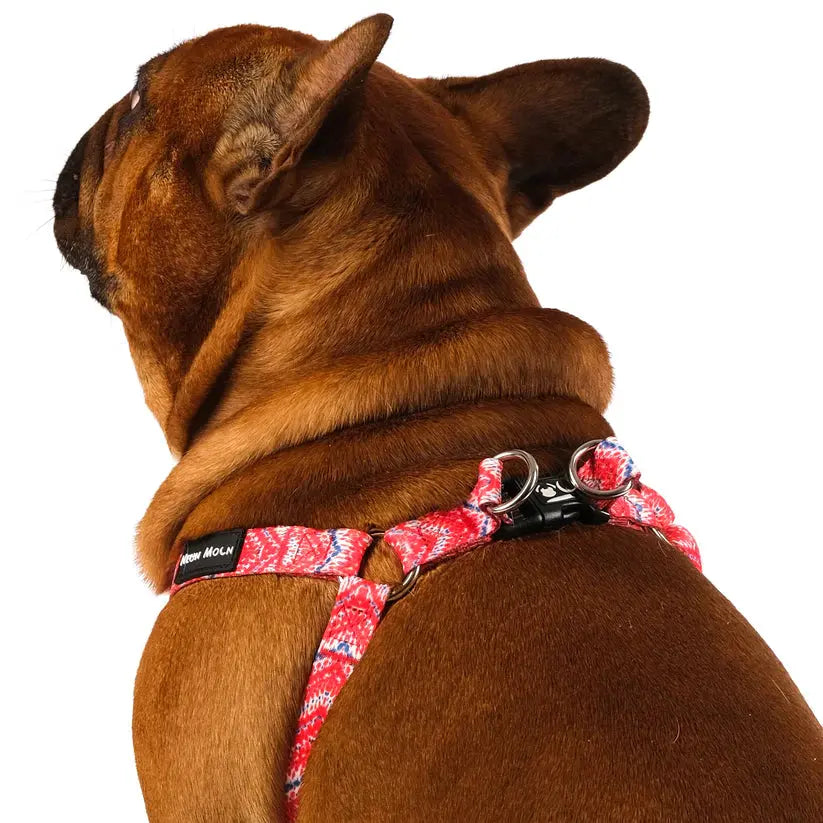 The Tod Step-In Dog Harness - by Neon Moon Pet Boutique - Memoriex