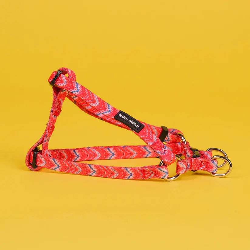 The Tod Step-In Dog Harness - by Neon Moon Pet Boutique - Memoriex