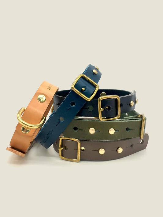 The “Brigadier” Small-Breed Dog Collar – by Seldom Found - Memoriex