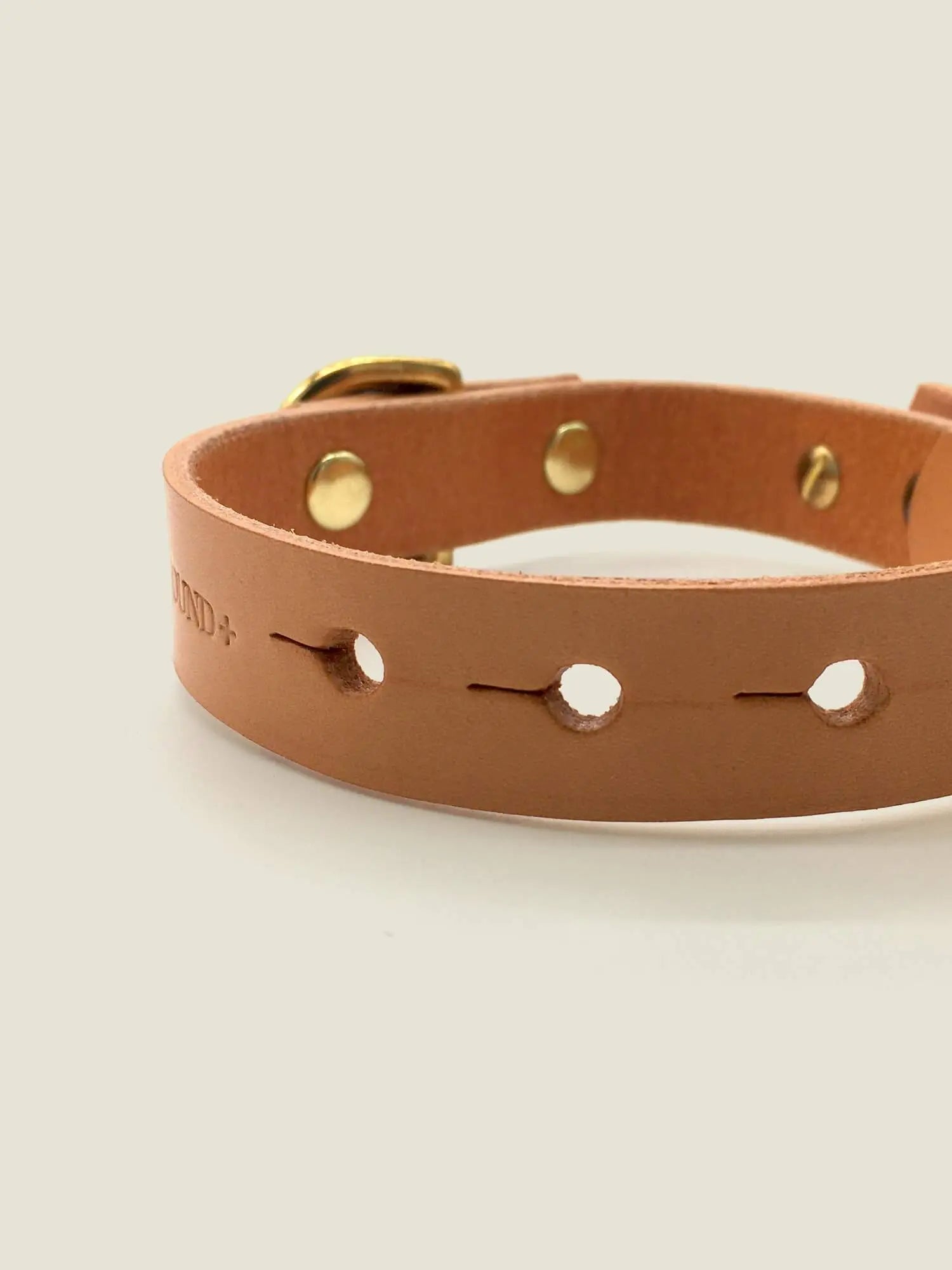 The “Brigadier” Small-Breed Dog Collar – by Seldom Found - Memoriex