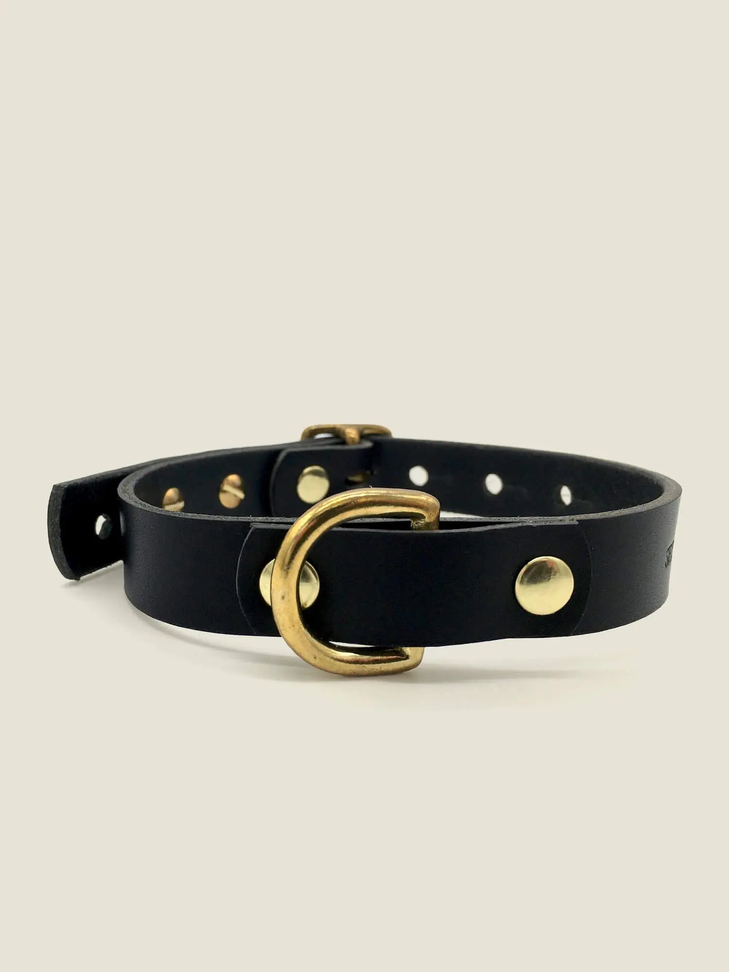 The “Brigadier” Small-Breed Dog Collar – by Seldom Found - Memoriex