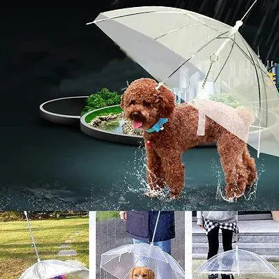 Transparent Pet Umbrella Portable Built-in Leash Puppy Umbrella Cat Raincoat - Memoriex 
