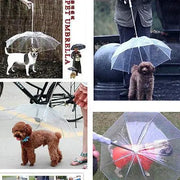 Transparent Pet Umbrella Portable Built-in Leash Puppy Umbrella Cat Raincoat - Memoriex 