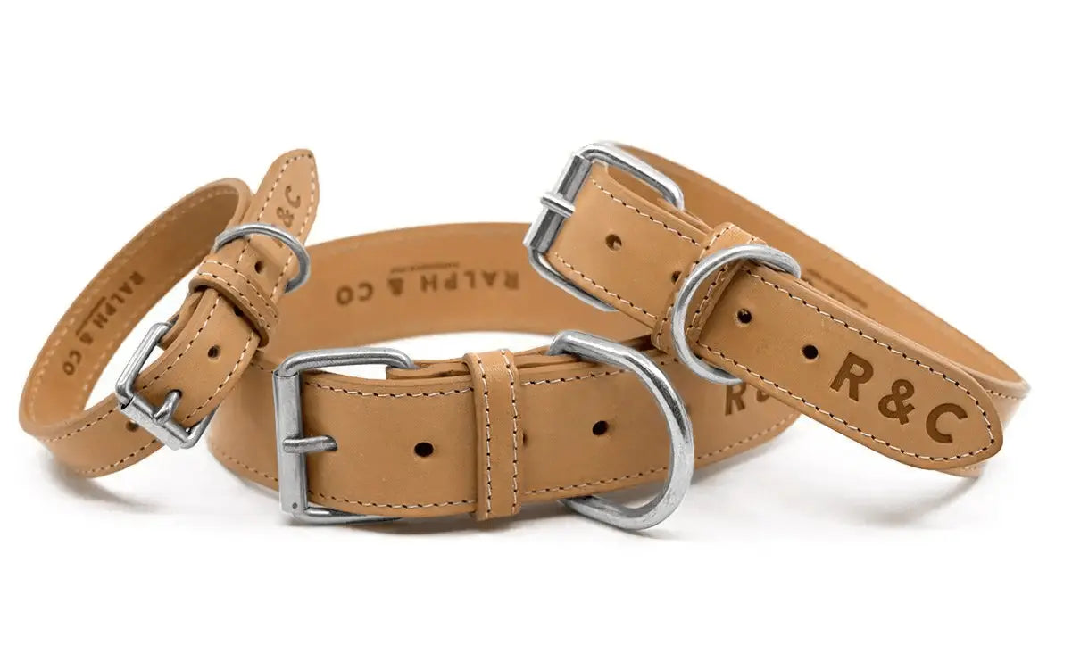 “Trieste” Italian Leather Dog Collar – by Ralph & Co - Memoriex