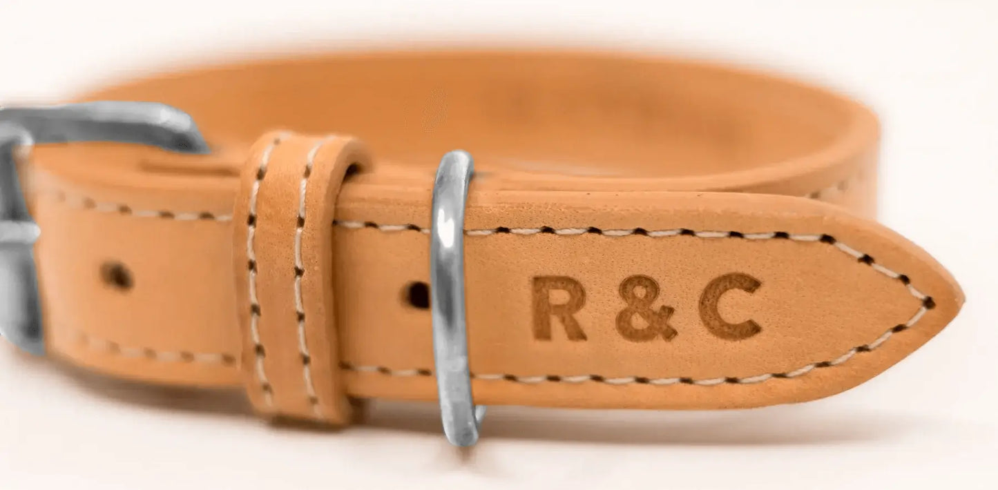 “Trieste” Italian Leather Dog Collar – by Ralph & Co - Memoriex