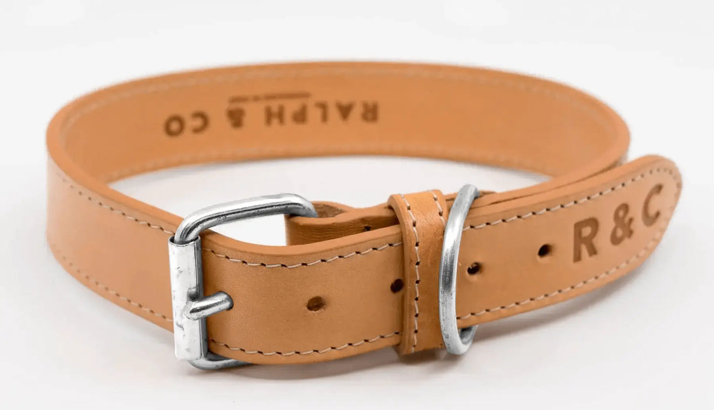 “Trieste” Italian Leather Dog Collar – by Ralph & Co - Memoriex