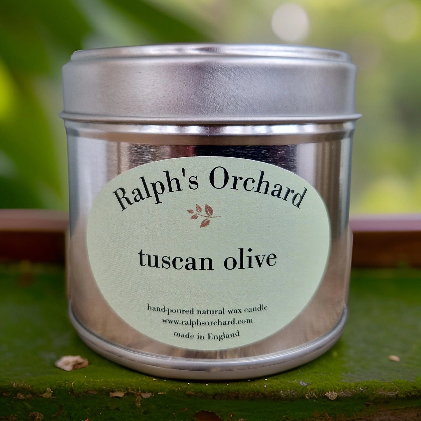 Tuscan Olive - Memoriex 