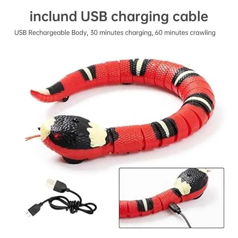 USB Rechargeable Interactive Cat Toy with Smart Sensing, an Automatic Electronic Snake for Kittens' Indoor Play. - Memoriex 