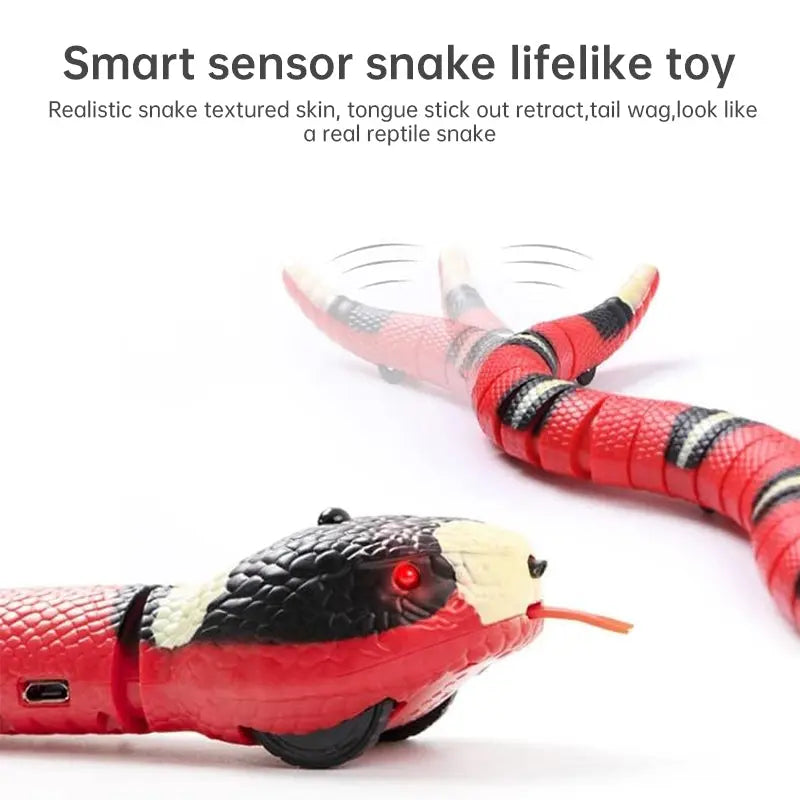 USB Rechargeable Interactive Cat Toy with Smart Sensing, an Automatic Electronic Snake for Kittens' Indoor Play. - Memoriex 