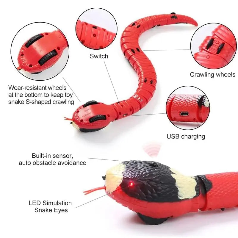 USB Rechargeable Interactive Cat Toy with Smart Sensing, an Automatic Electronic Snake for Kittens' Indoor Play. - Memoriex 