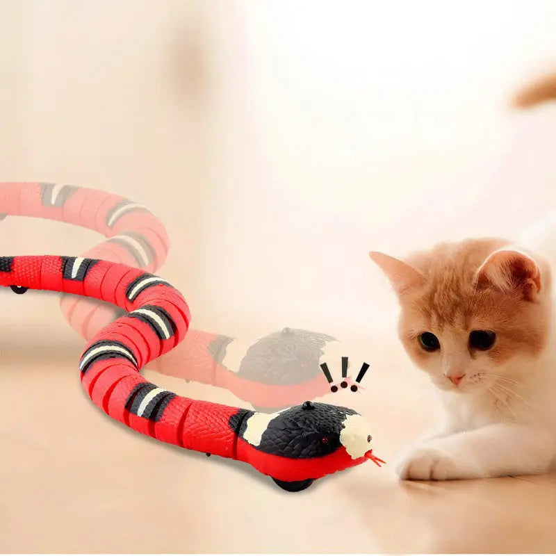 USB Rechargeable Interactive Cat Toy with Smart Sensing, an Automatic Electronic Snake for Kittens' Indoor Play. - Memoriex 