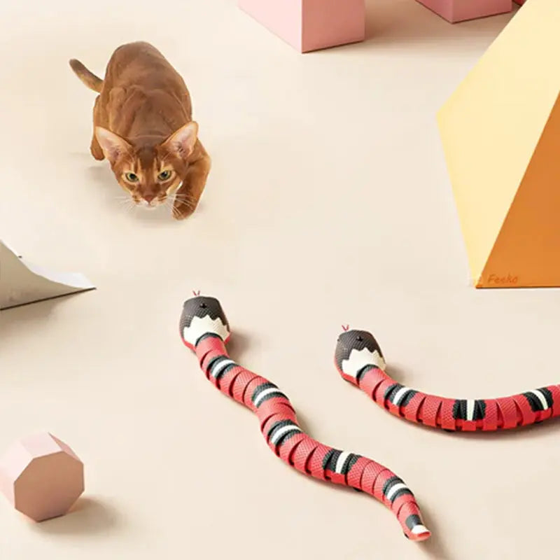 USB Rechargeable Interactive Cat Toy with Smart Sensing, an Automatic Electronic Snake for Kittens' Indoor Play. - Memoriex 