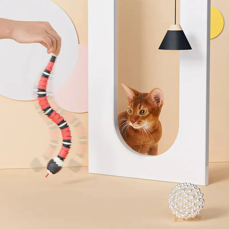 USB Rechargeable Interactive Cat Toy with Smart Sensing, an Automatic Electronic Snake for Kittens' Indoor Play. - Memoriex 