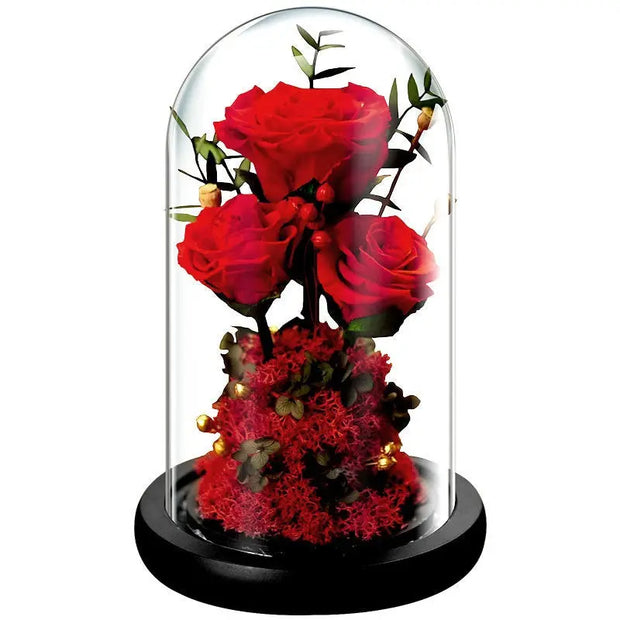 Valentine's Day Gift Practical Immortal Flowers Dried Roses Glass Cover Gift Box Creative Ornaments Immortal Flowers - Memoriex 