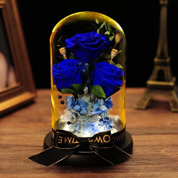 Valentine's Day Gift Practical Immortal Flowers Dried Roses Glass Cover Gift Box Creative Ornaments Immortal Flowers - Memoriex 