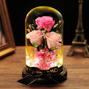 Valentine's Day Gift Practical Immortal Flowers Dried Roses Glass Cover Gift Box Creative Ornaments Immortal Flowers - Memoriex 