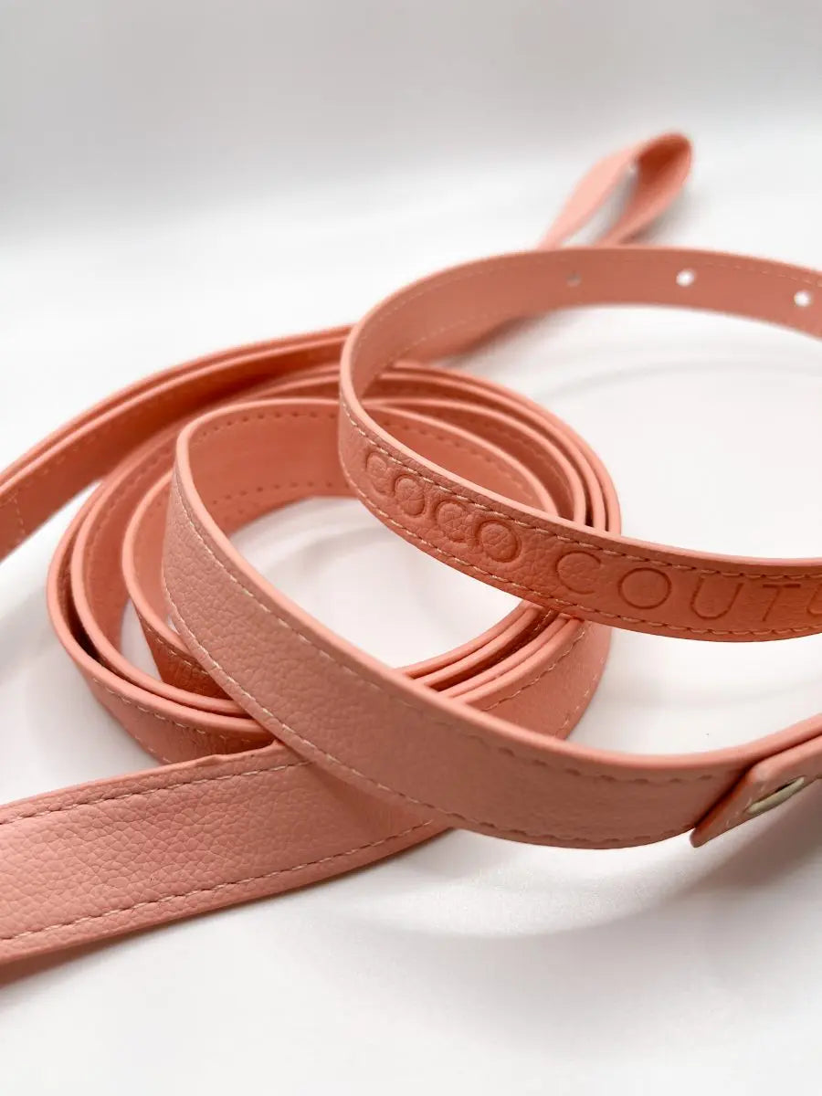 Vegan Lightweight Leather Dog Lead (Pink) – by Coco Couture - Memoriex