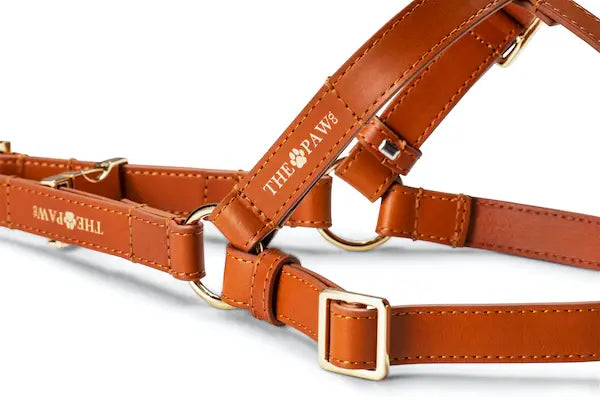 Vivienne (Italian Leather) Step-In Dog Harness – by The Paw Co. - Memoriex