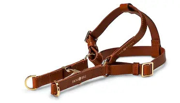 Vivienne (Italian Leather) Step-In Dog Harness – by The Paw Co. - Memoriex