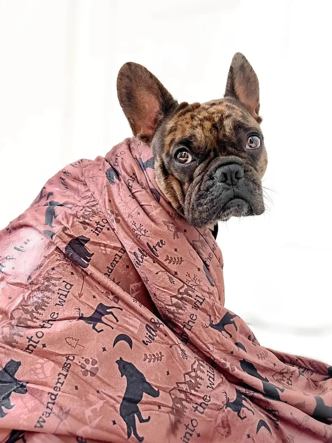 Wanderlust Dog Blanket (Fleece) by Pup Chic Boutique - Memoriex