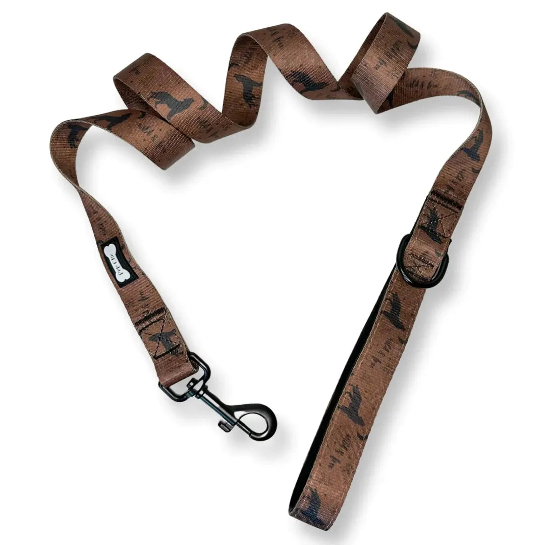 Wanderlust Dog Lead by Pup Chic Boutique - Memoriex