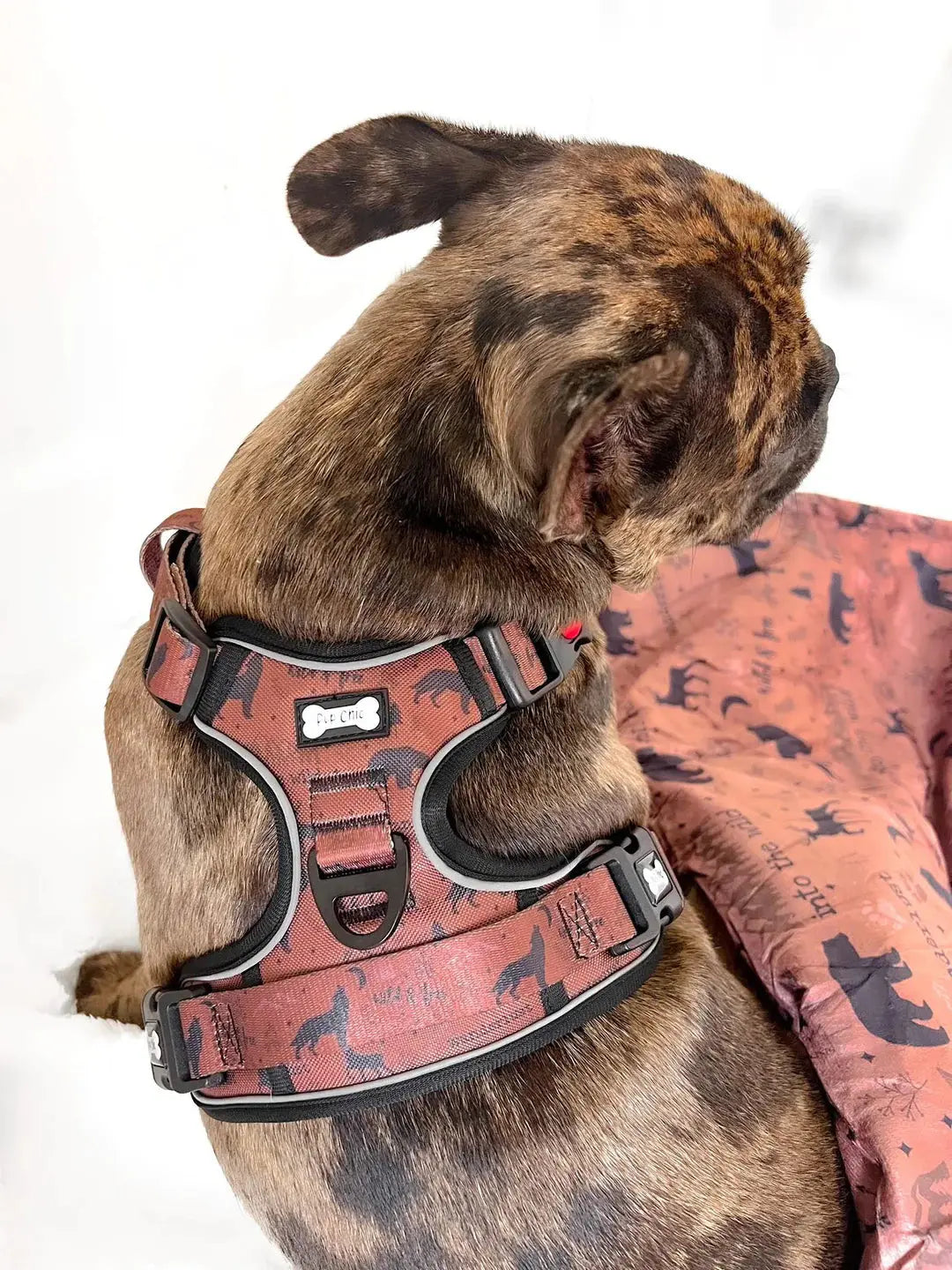 Wanderlust Tuff Stuff Dog Harness - NO PULL Dog Harness With Handle - by Pup Chic Boutique - Memoriex