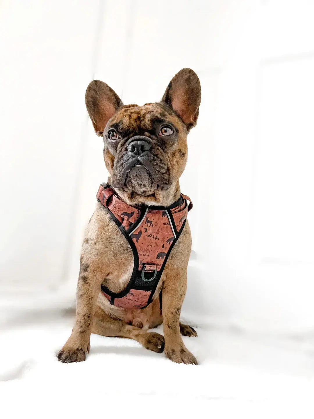 Wanderlust Tuff Stuff Dog Harness - NO PULL Dog Harness With Handle - by Pup Chic Boutique - Memoriex