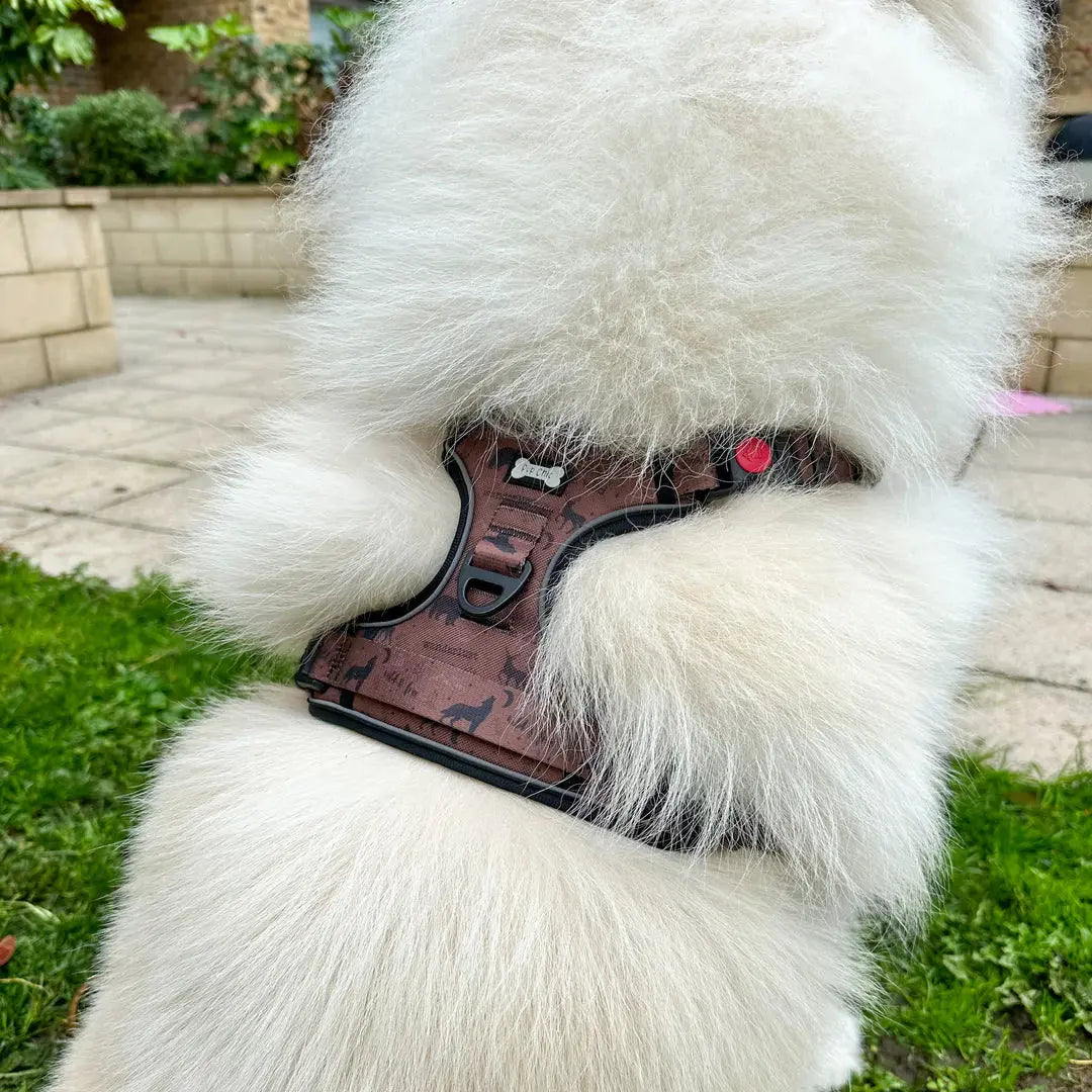 Wanderlust Tuff Stuff Dog Harness - NO PULL Dog Harness With Handle - by Pup Chic Boutique - Memoriex