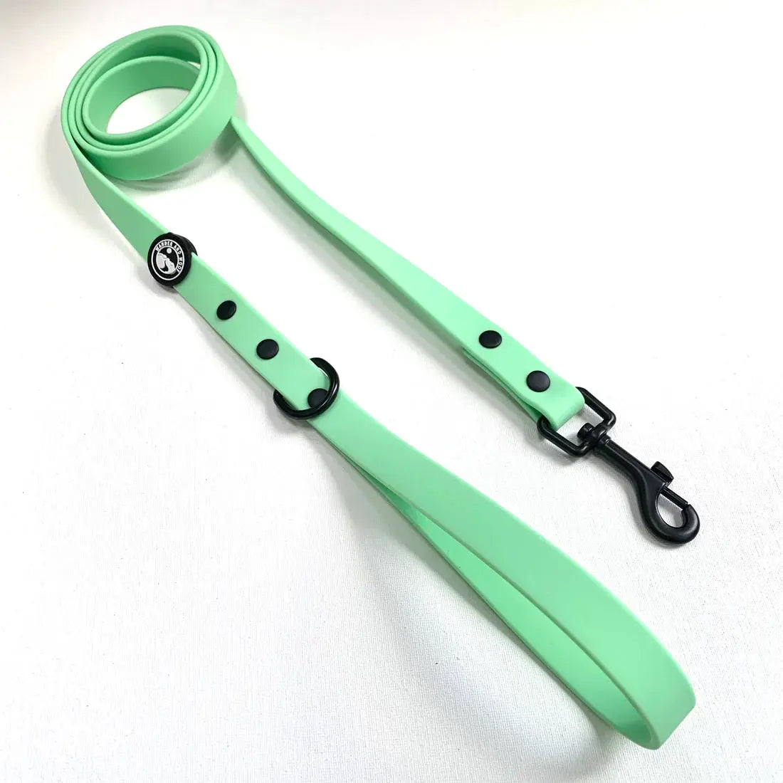 Waterproof Dog Lead (Mint) by Wander and Woof - Memoriex