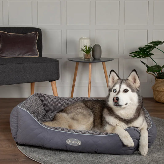 Wilton Box Dog Bed (in Blue, Grey, Black, Brown) by Scruffs - Memoriex